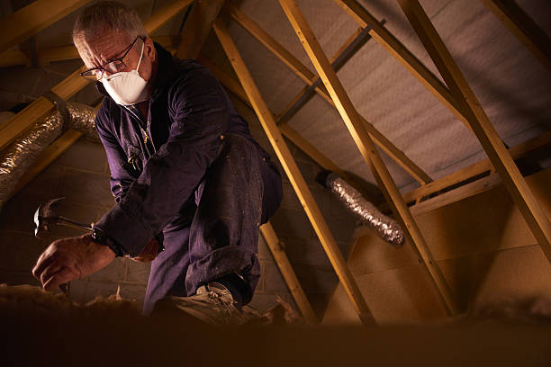 Best Eco-Friendly Insulation in Gratton, VA